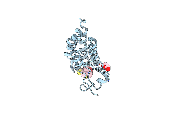 6UVM image