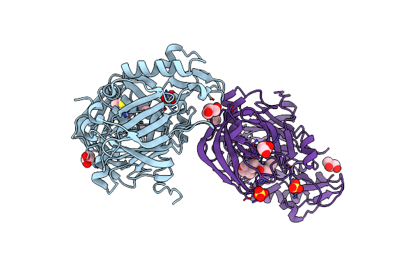 6UVV image
