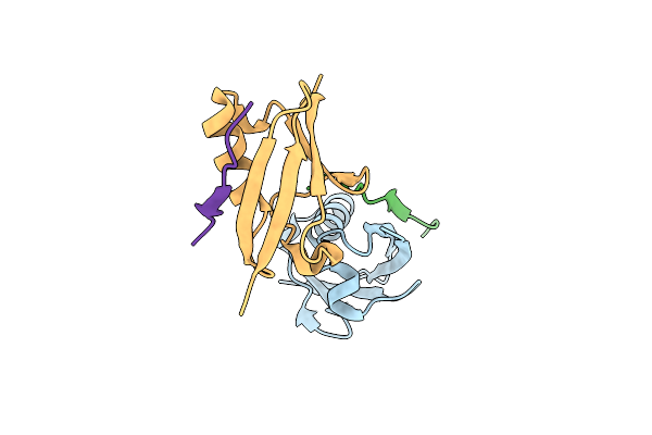 6UYO image