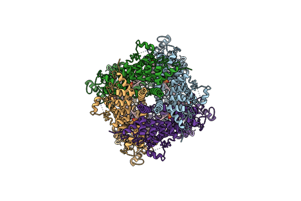 6UZ8 image