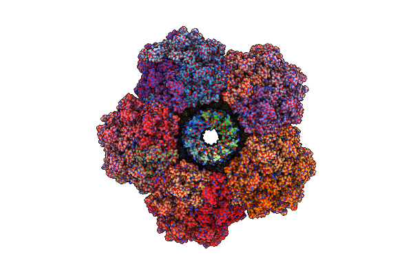 6UZC image