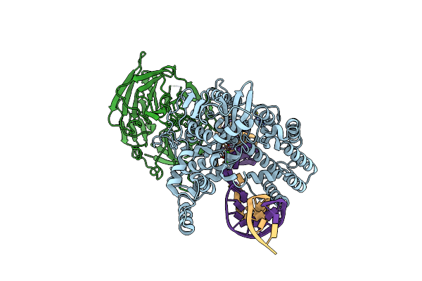 6V0V image