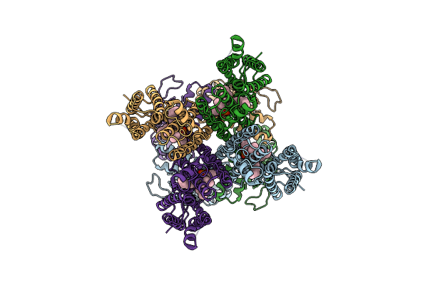 6V1X image