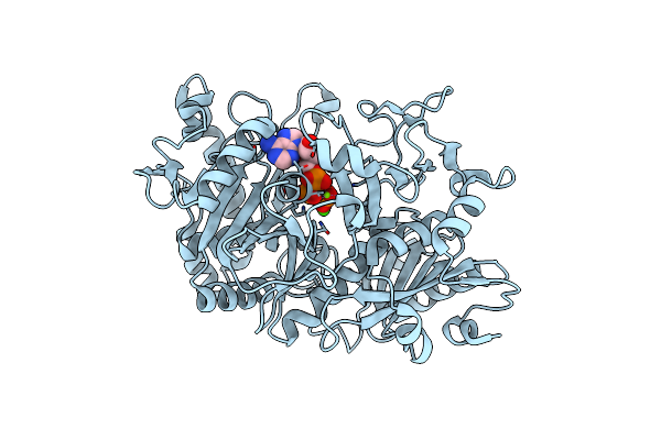 6V2M image