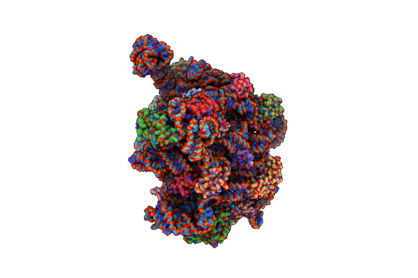 6V3D image