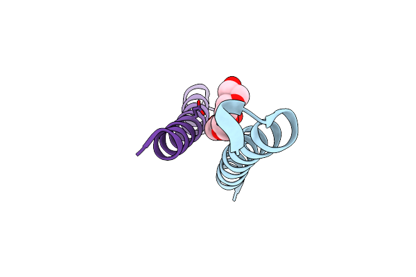 6V5I image