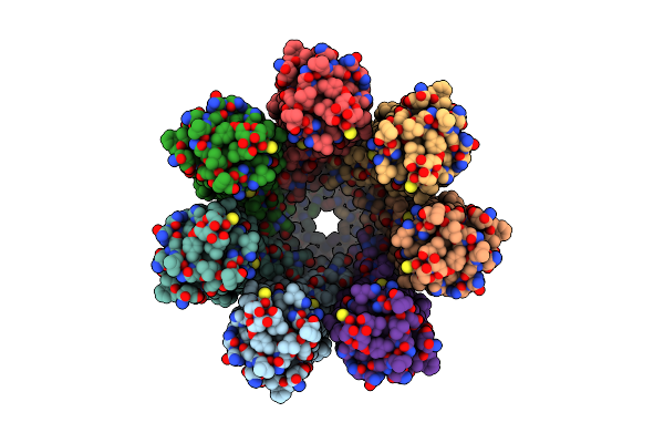 6V6D image