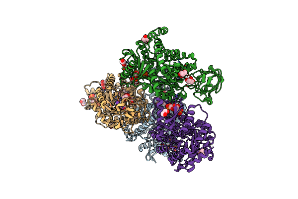 6V74 image