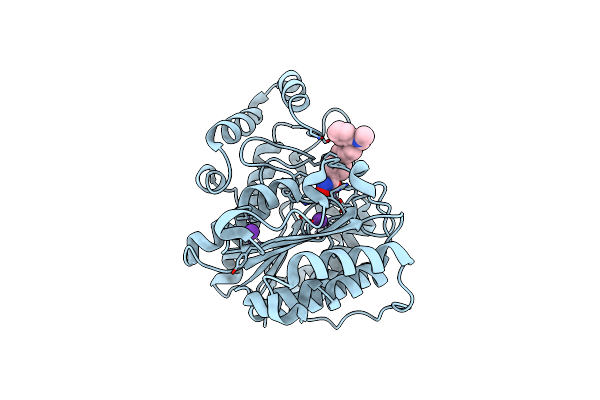6V7A image