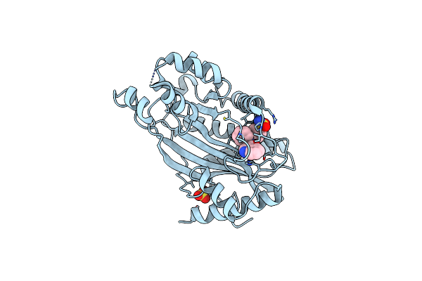6V8B image