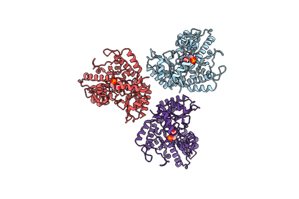 6V8C image