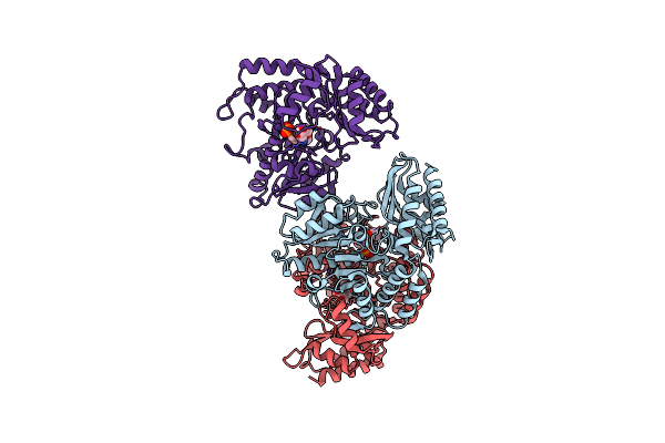 6V8D image