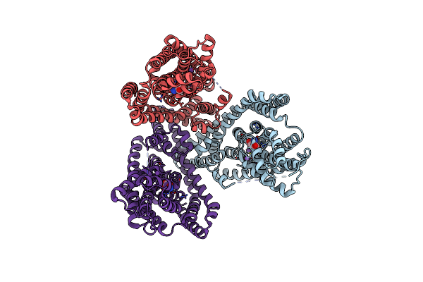 6V8G image