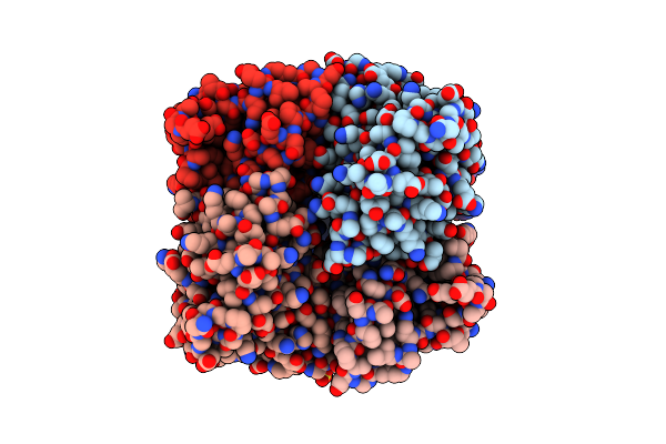 6V8H image