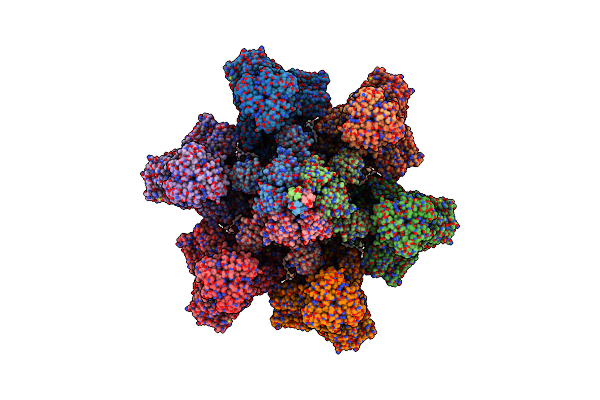 6V8I image