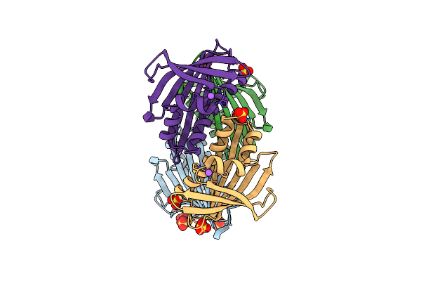 6V8J image