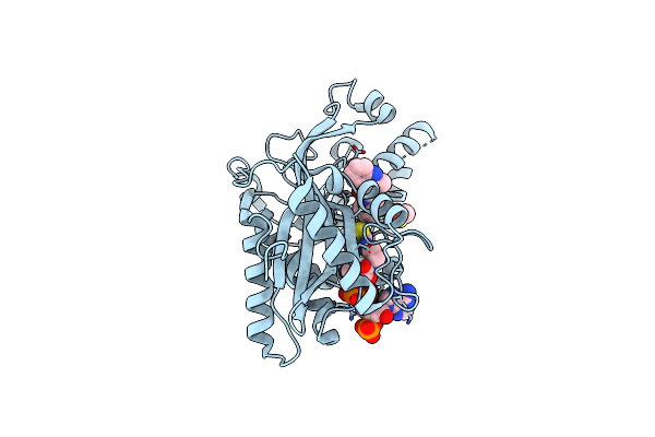 6V8K image