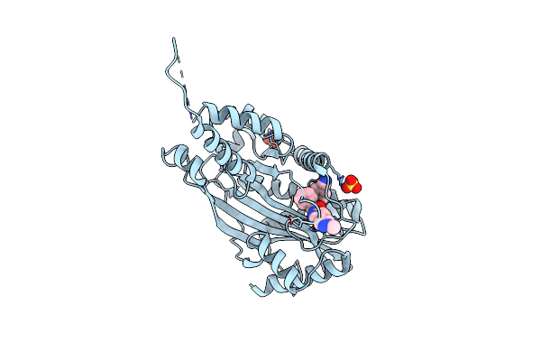6V8N image