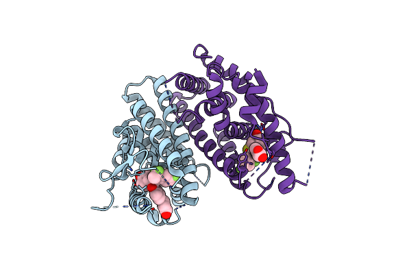 6V8T image