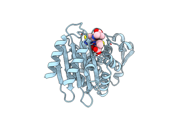 6V8V image