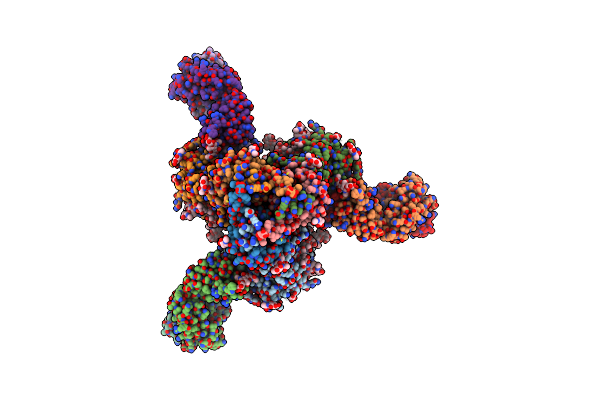 6V8X image