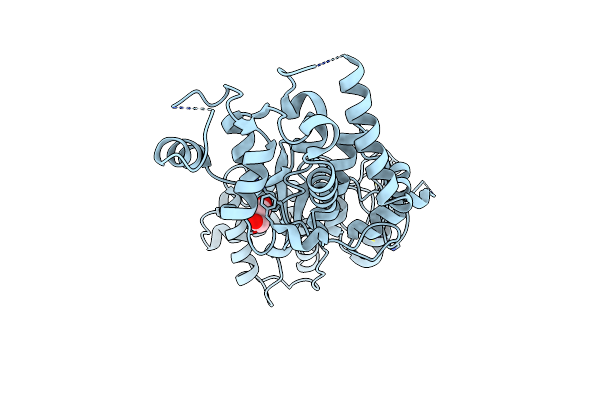 6V9P image