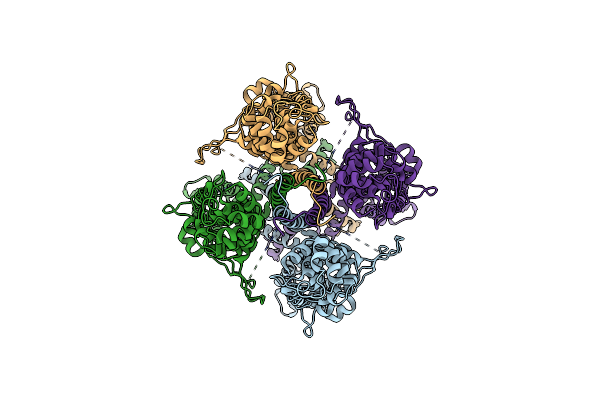 6V9X image