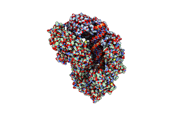 6VAE image