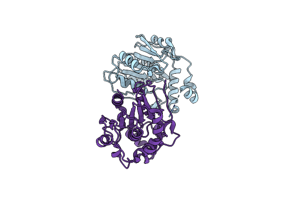 6VAP image