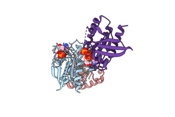 6VC8 image