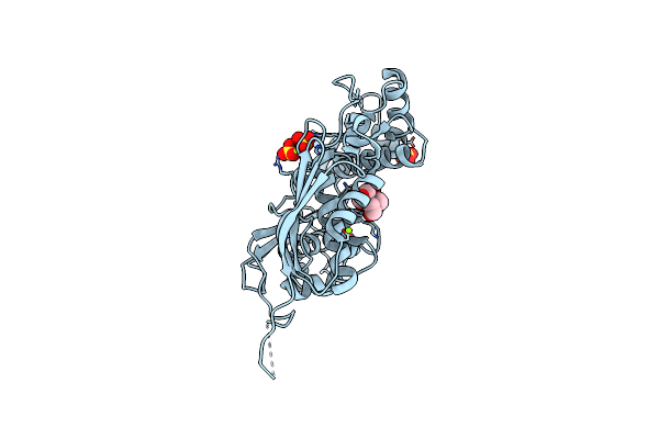 6VCX image