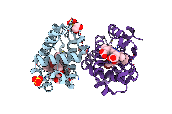 6VD4 image