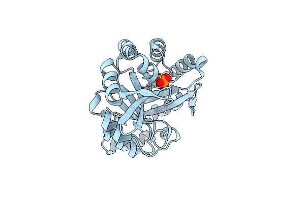 6VDG image