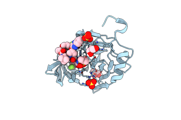 6VDL image