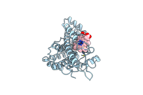 6VDP image