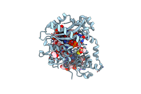 6VFA image