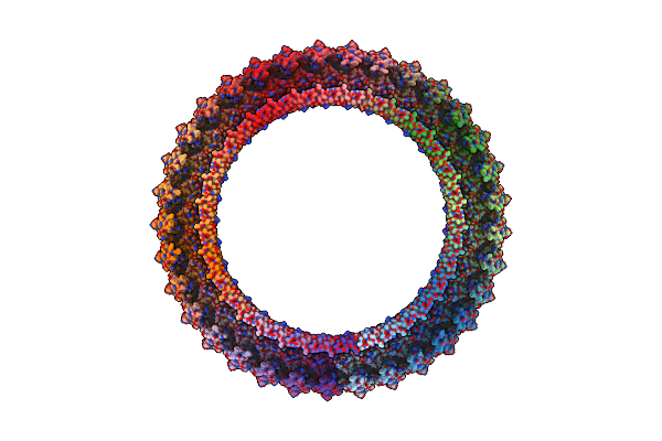 6VFE image