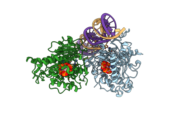 6VFF image