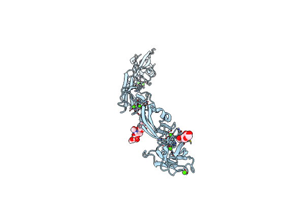 6VFP image