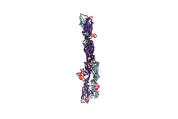 6VFR image
