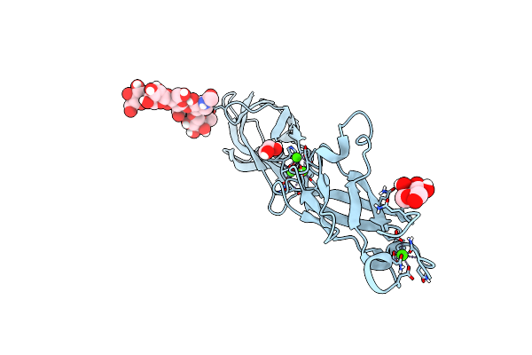 6VFV image