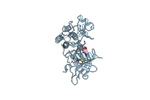 6VH4 image