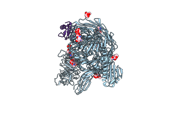 6VHH image