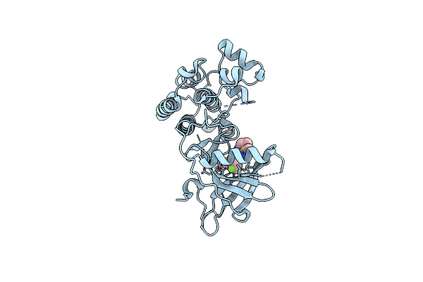 6VHN image