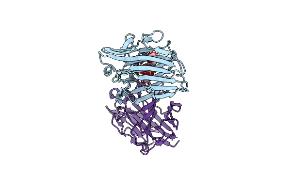 6VHO image