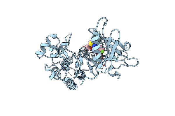 6VHP image