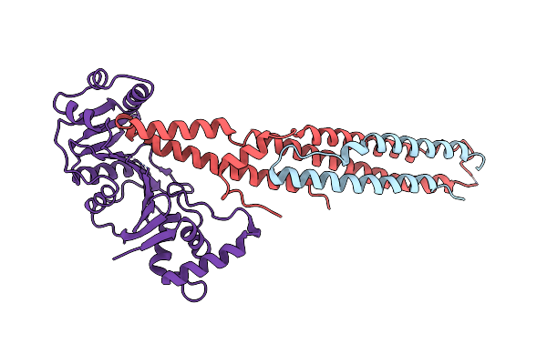 6VHR image