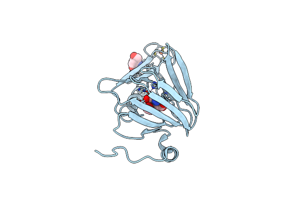 6VIB image
