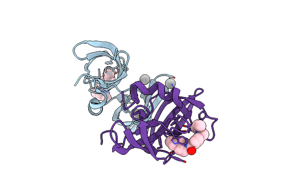 6VIP image