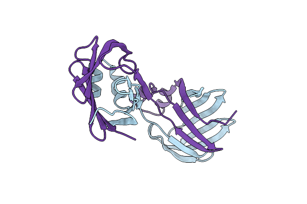 6VIT image